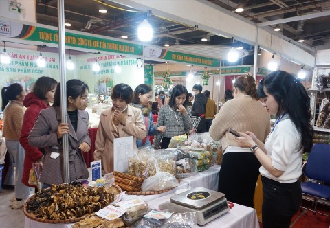 quang ninh to chuc hoi cho ocop dip quoc khanh 29 va cuoi nam 2024