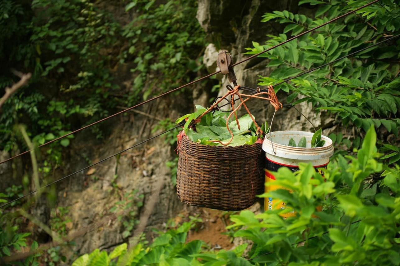 Thưởng thức đặc sản na Chi Lăng đạt tiêu chuẩn OCOP Thưởng thức đặc sản na Chi Lăng đạt tiêu chuẩn OCOP