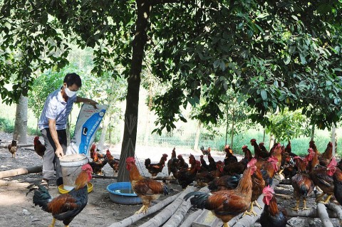 thai nguyen huyen phu binh co them 8 san pham dat ocop 3 sao