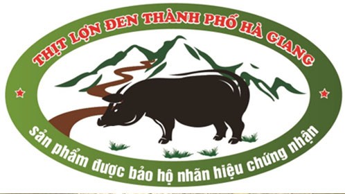 Hà Giang: Xây dựng thương hiệu cho thịt lợn đen