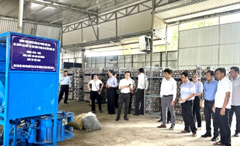 Đại biểu xem trình diễn máy Đại biểu xem trình diễn máy