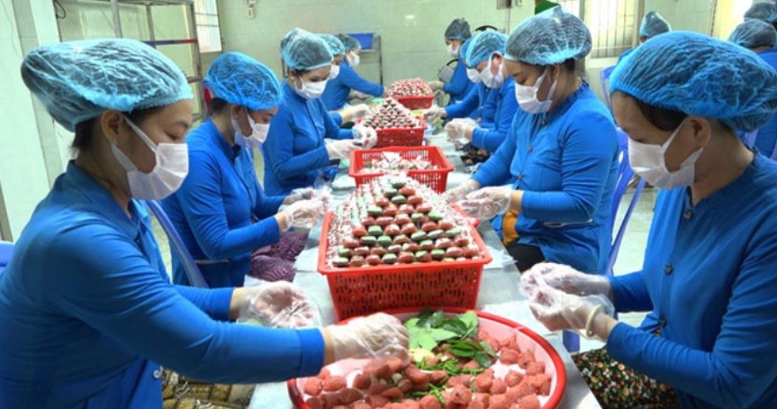 Nem chua Lai Vung - Tinh hoa ẩm thực đồng bằng sông Cửu Long