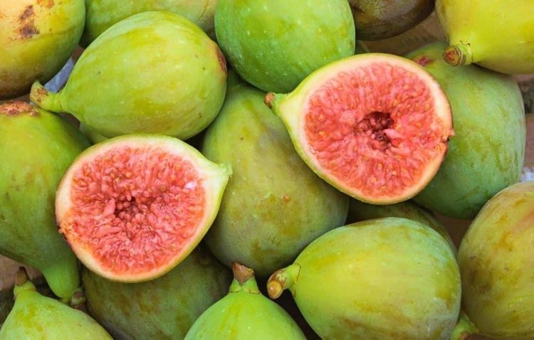 Một số thực phẩm bổ sung canxi tốt cho sức khoẻ Một số thực phẩm bổ sung canxi tốt cho sức khoẻ