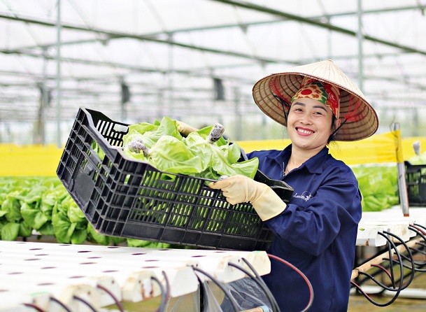 Thanh Hoá: Mô hình nông nghiệp tuần hoàn không rác thải - Hướng tới nông nghiệp an toàn, bền vững