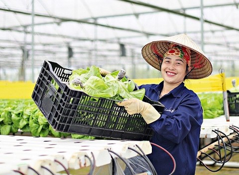 Thanh Hoá: Mô hình nông nghiệp tuần hoàn không rác thải - Hướng tới nông nghiệp an toàn, bền vững
