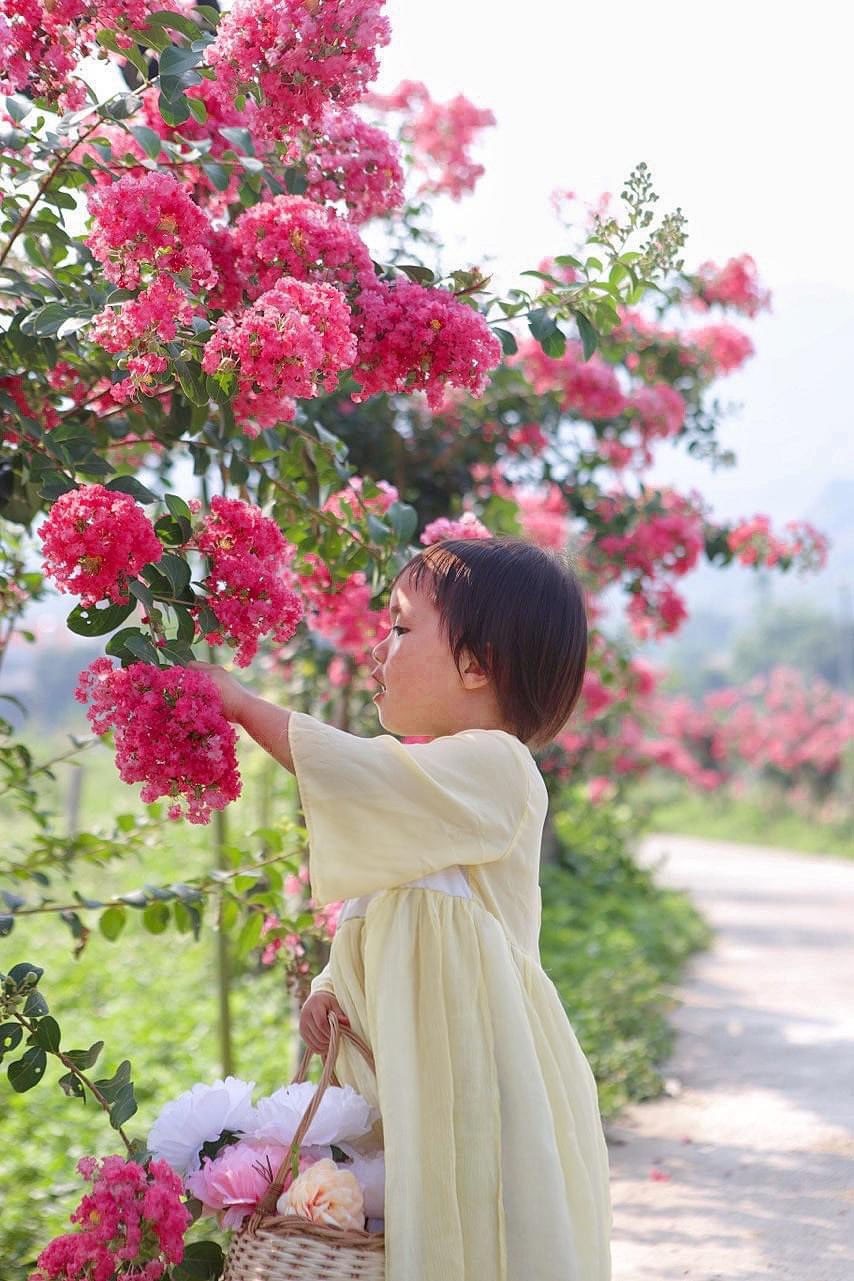 Bắc Kạn: Rực rỡ nhiều đường hoa của phụ nữ góp phần dựng xây nông thôn mới