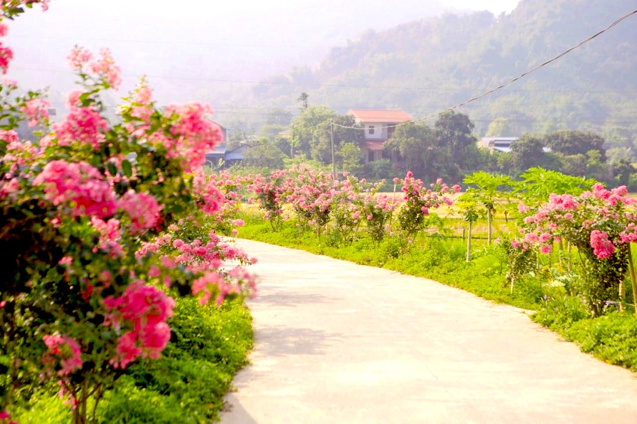 Bắc Kạn: Rực rỡ nhiều đường hoa của phụ nữ góp phần dựng xây nông thôn mới Bắc Kạn: Rực rỡ nhiều đường hoa của phụ nữ góp phần dựng xây nông thôn mới