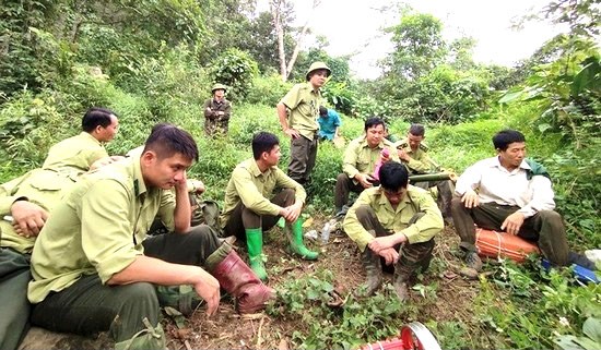 Ban Quản lý Khu Bảo tồn thiên nhiên Pù Luông: Thực hiện tốt công tác quản lý, bảo vệ rừng Ban Quản lý Khu Bảo tồn thiên nhiên Pù Luông: Thực hiện tốt công tác quản lý, bảo vệ rừng