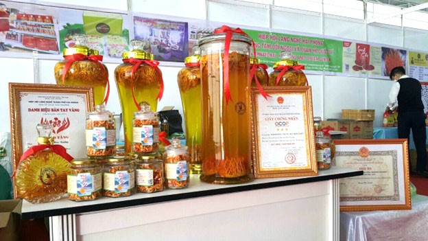 Làm giàu từ nuôi nấm đông trùng hạ thảo