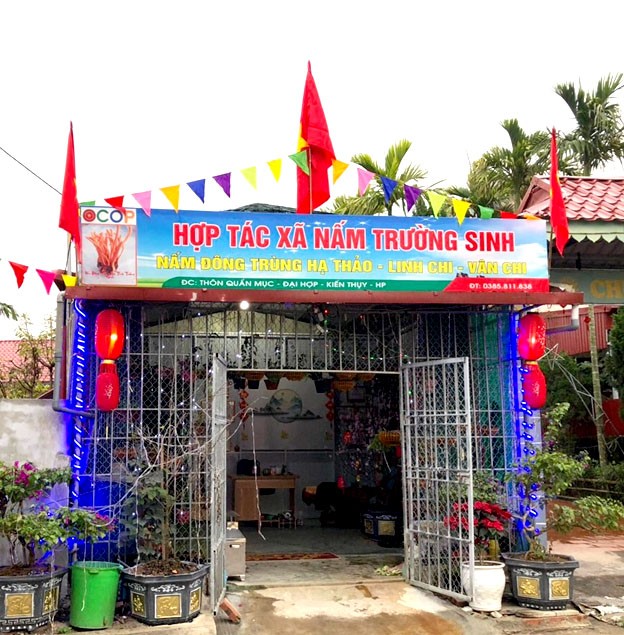 Làm giàu từ nuôi nấm đông trùng hạ thảo