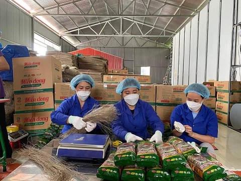 Bắc Kạn xây dựng làng nghề nông lâm nghiệp