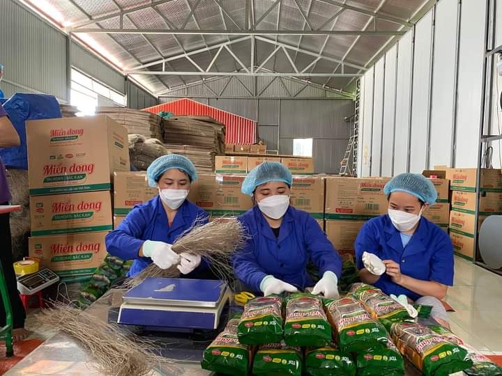 Bắc Kạn xây dựng làng nghề nông lâm nghiệp