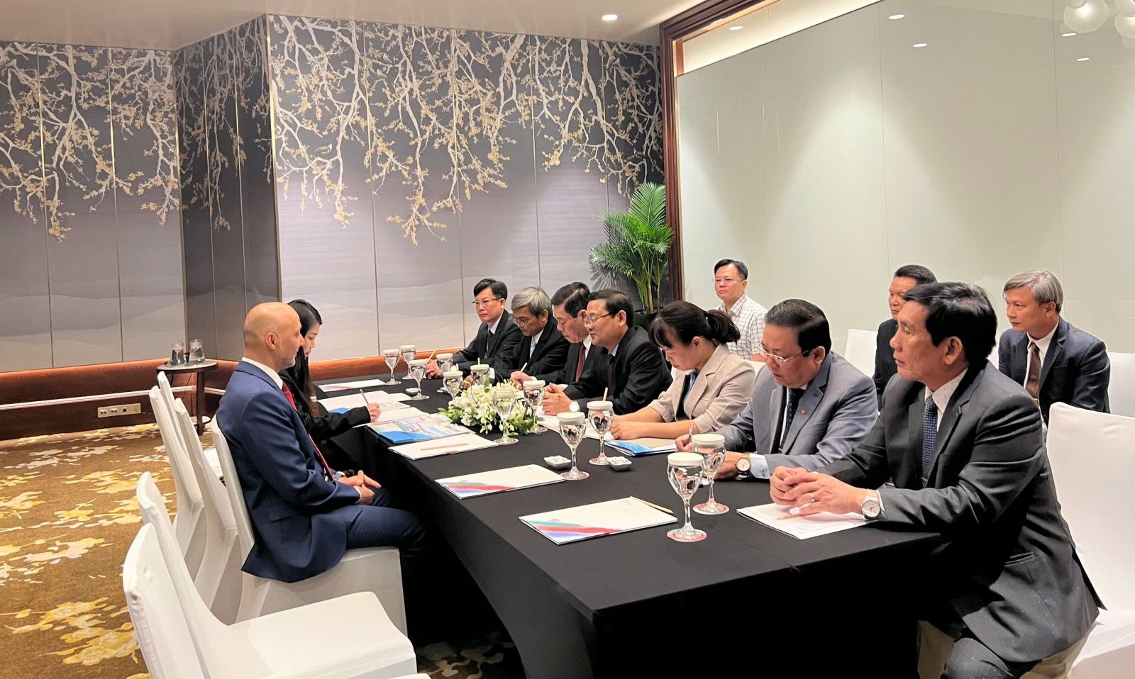 Bình Định thu hút đầu tư từ các doanh nghiệp, nhà đầu tư UAE