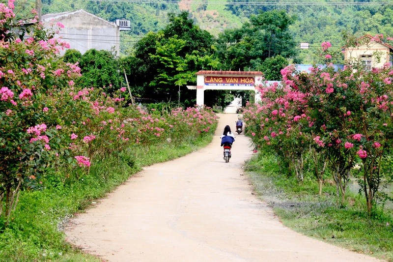 Diện mạo, đời sống nhân dân khu vực nông thôn đổi thay, nhiều tuyến đường sáng sanh sạch đẹp Diện mạo, đời sống nhân dân khu vực nông thôn đổi thay, nhiều tuyến đường sáng sanh sạch đẹp