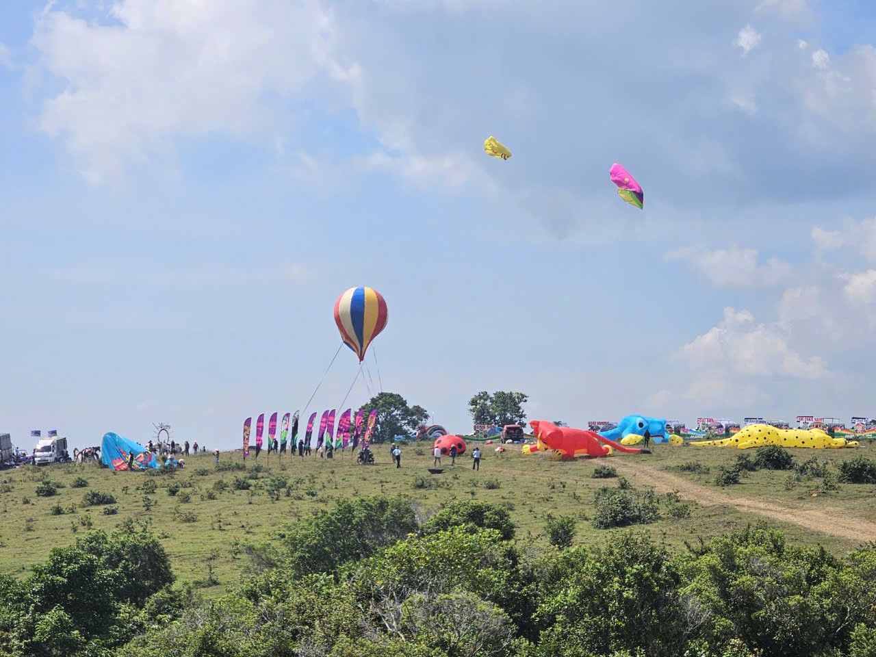 Bình Định: La Vuông như một điều ước