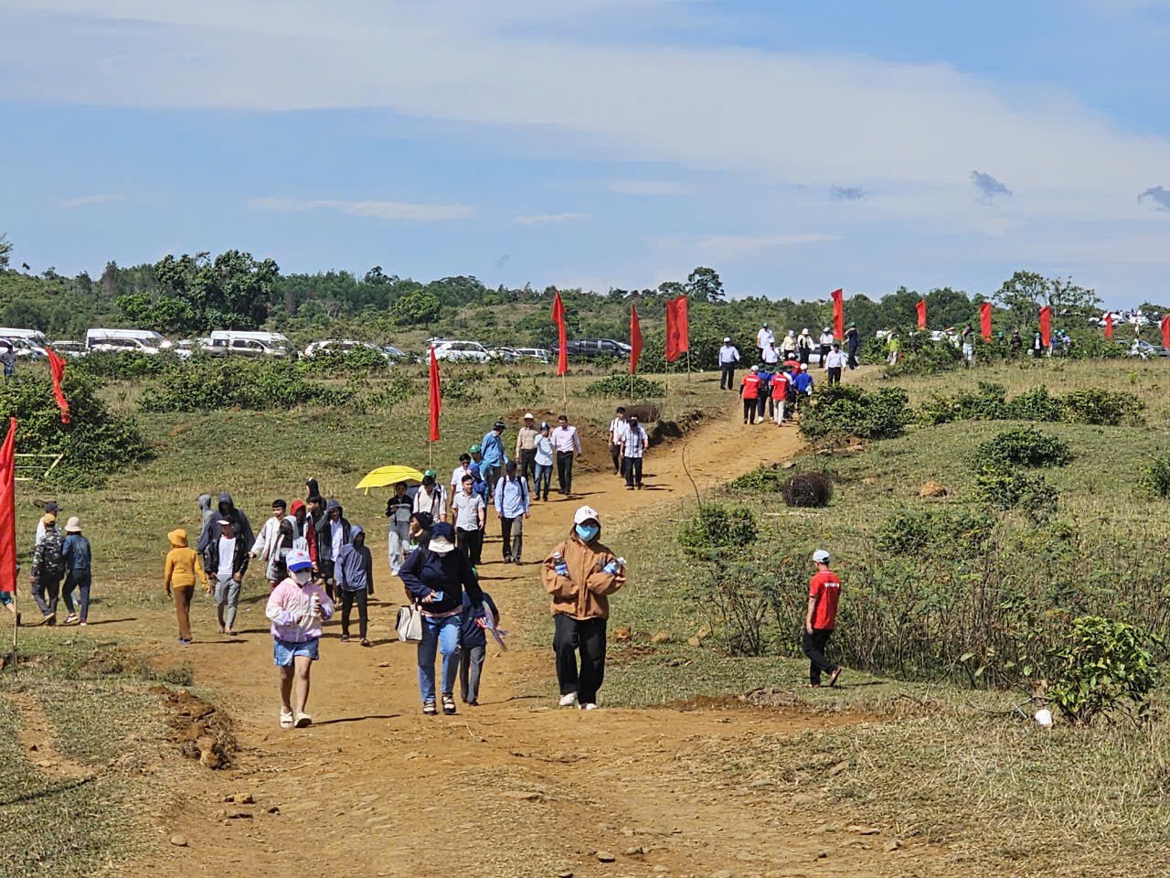 Bình Định: La Vuông như một điều ước