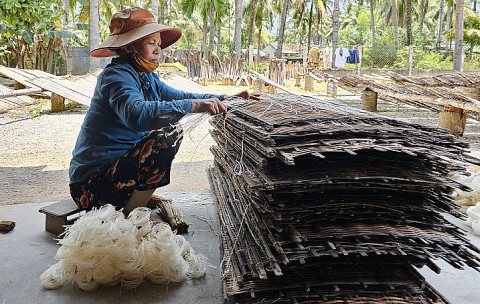 Bình Định: Phát triển Làng nghề truyền thống sản xuất bánh tráng, bún số 8