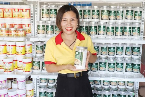 Hành trình mang tinh bột nghệ, tinh bột sắn dây thành sản phẩm OCOP 3 sao