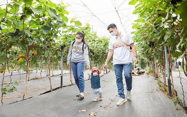 Hà Nội: Kinh tế xanh gắn với mô hình OCOP