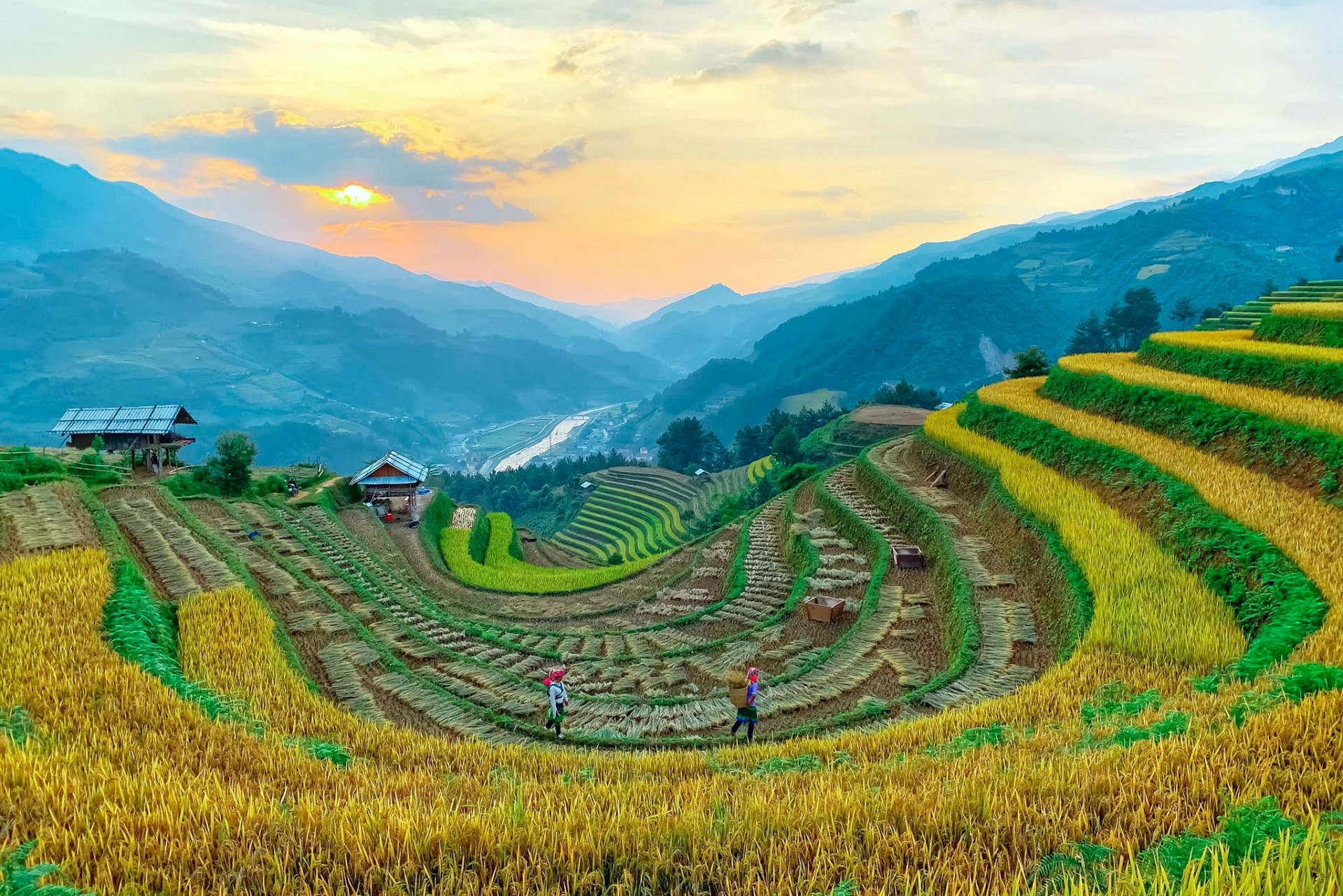 Đến Mù Cang Chải trải nghiệm mùa vàng Tây Bắc Đến Mù Cang Chải trải nghiệm mùa vàng Tây Bắc