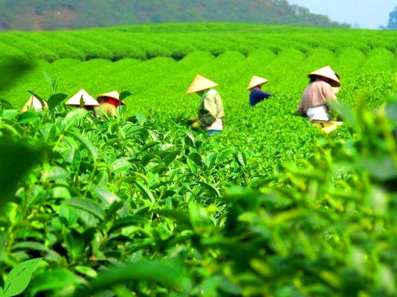 Hương vị đất trời Hương vị đất trời