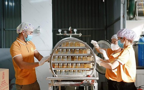 quang binh thuc day cong nghiep nong thon phat trien