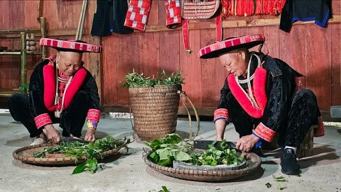 Nghề làm thuốc nam cổ truyền của dân tộc Dao Đỏ ở tỉnh Cao Bằng