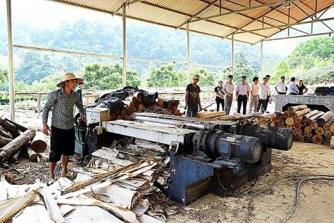 Khuyến công Thanh Hóa: Đầu tư thiết bị tiên tiến giảm thiểu ô nhiễm môi trường