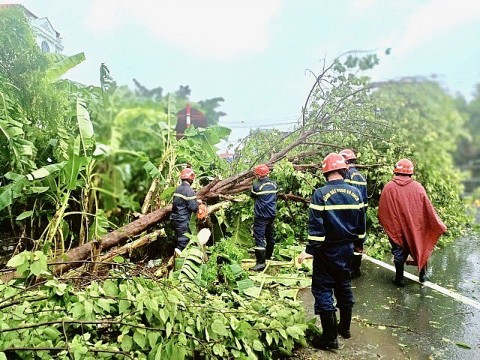 Hải Phòng tập trung khắc phục hậu quả của cơn bão số 3
