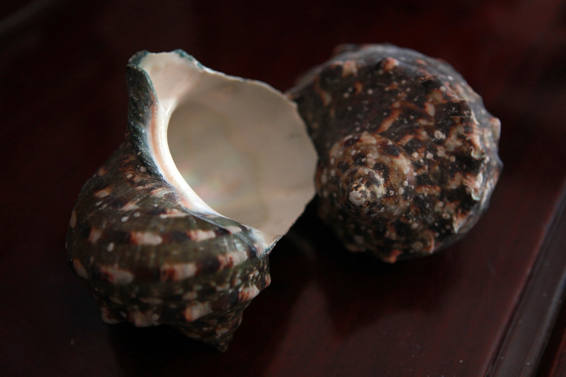 Giữ gìn tinh hoa nghệ thuật khảm trai ở làng nghề Chuôn Ngọ