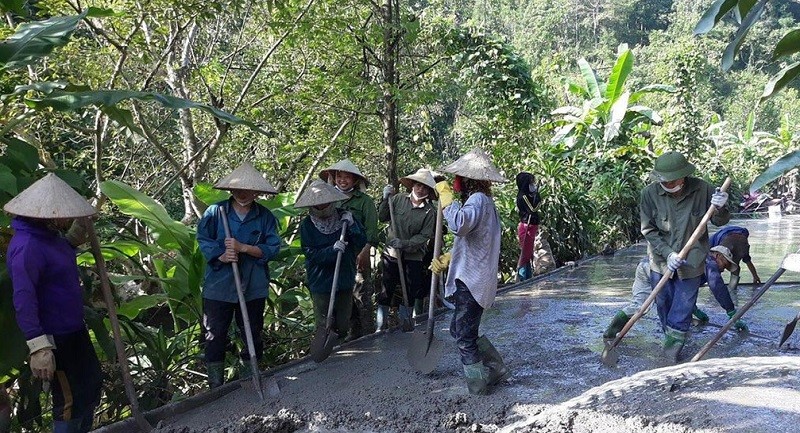 Tuyên Quang: Hội viên các cấp Hội nông dân tỉnh chung tay xây dựng nông thôn mới