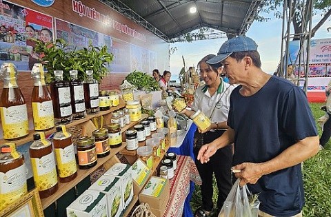 Phụ nữ Bình Định khởi nghiệp sáng tạo và chuyển đổi xanh