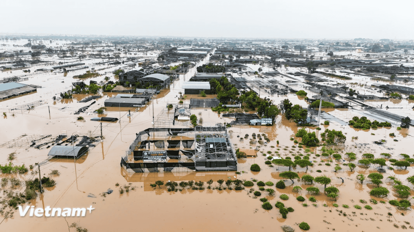 Làng nghề trồng hoa ở Hưng Yên ngập trong nước lũ