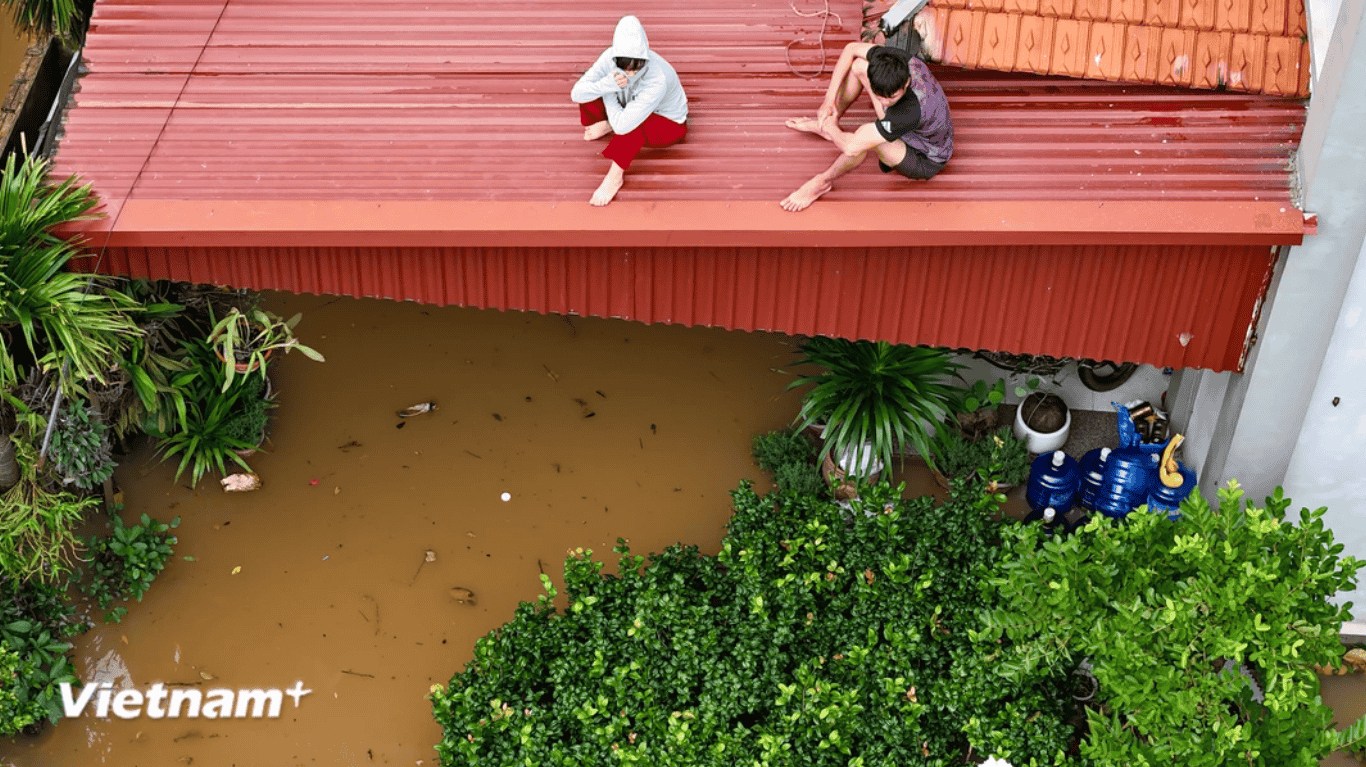 Làng nghề trồng hoa ở Hưng Yên ngập trong nước lũ