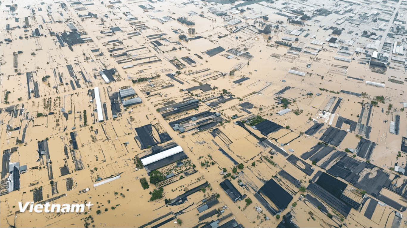 Làng nghề trồng hoa ở Hưng Yên ngập trong nước lũ