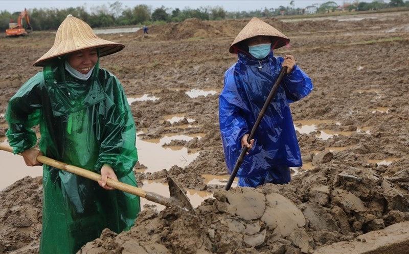 Cách xử lý đất nông nghiệp ở các khu vực bị vùi lấp sau bão lũ