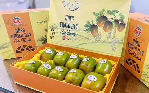 Nông dân Phú Thọ "kiếm bộn tiền" nhờ một thứ quả đặc biệt không thể thiếu trên mâm ngũ quả Tết Trung thu