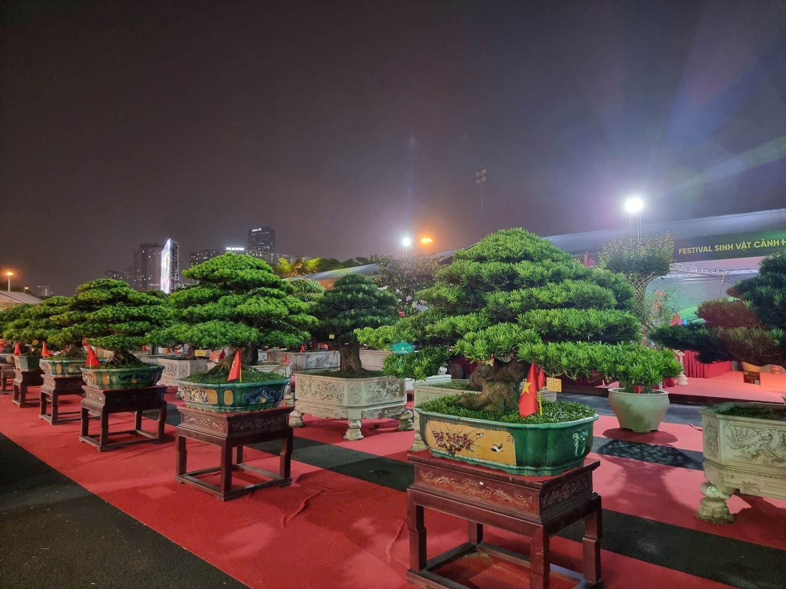 Các tác phảm sinh vật cảnh được trưng bày tại Festival Sinh vật cảnh Hà Nội lần thứ nhất. Các tác phảm sinh vật cảnh được trưng bày tại Festival Sinh vật cảnh Hà Nội lần thứ nhất.