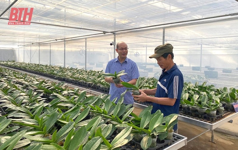 Thanh Hoá: Hiệu quả mô hình HTX nông nghiệp ứng dụng công nghệ cao