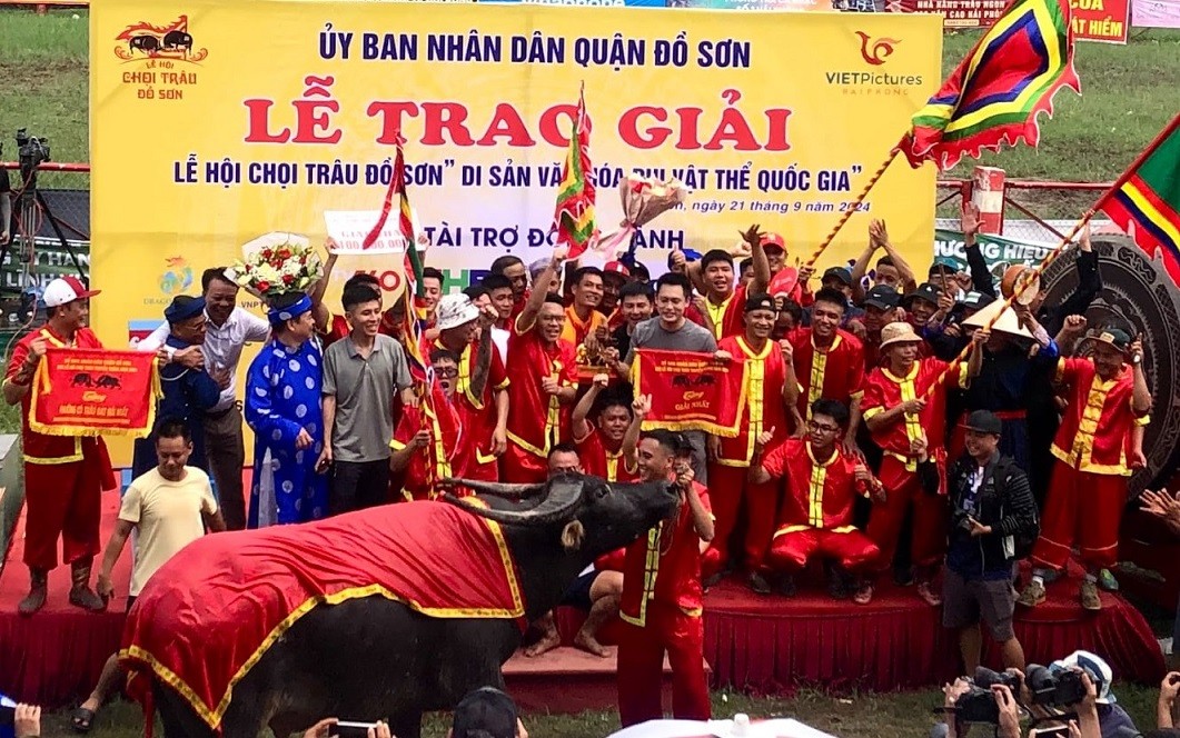 Khôi phục và phát triển lễ hội chọi trâu truyền thống Đồ Sơn: Ông Trâu số 04 - Phường Hải Sơn vô địch mùa thứ 35