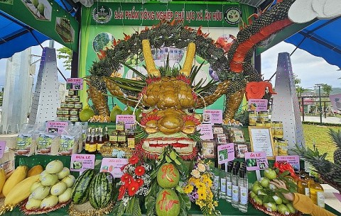 Bình Định: Xã Ân Hữu đạt chuẩn nông thôn mới
