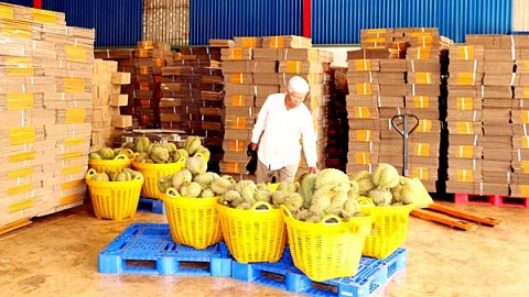 Bình Phước: Phước Tín phấn đấu về đích nông thôn mới kiểu mẫu