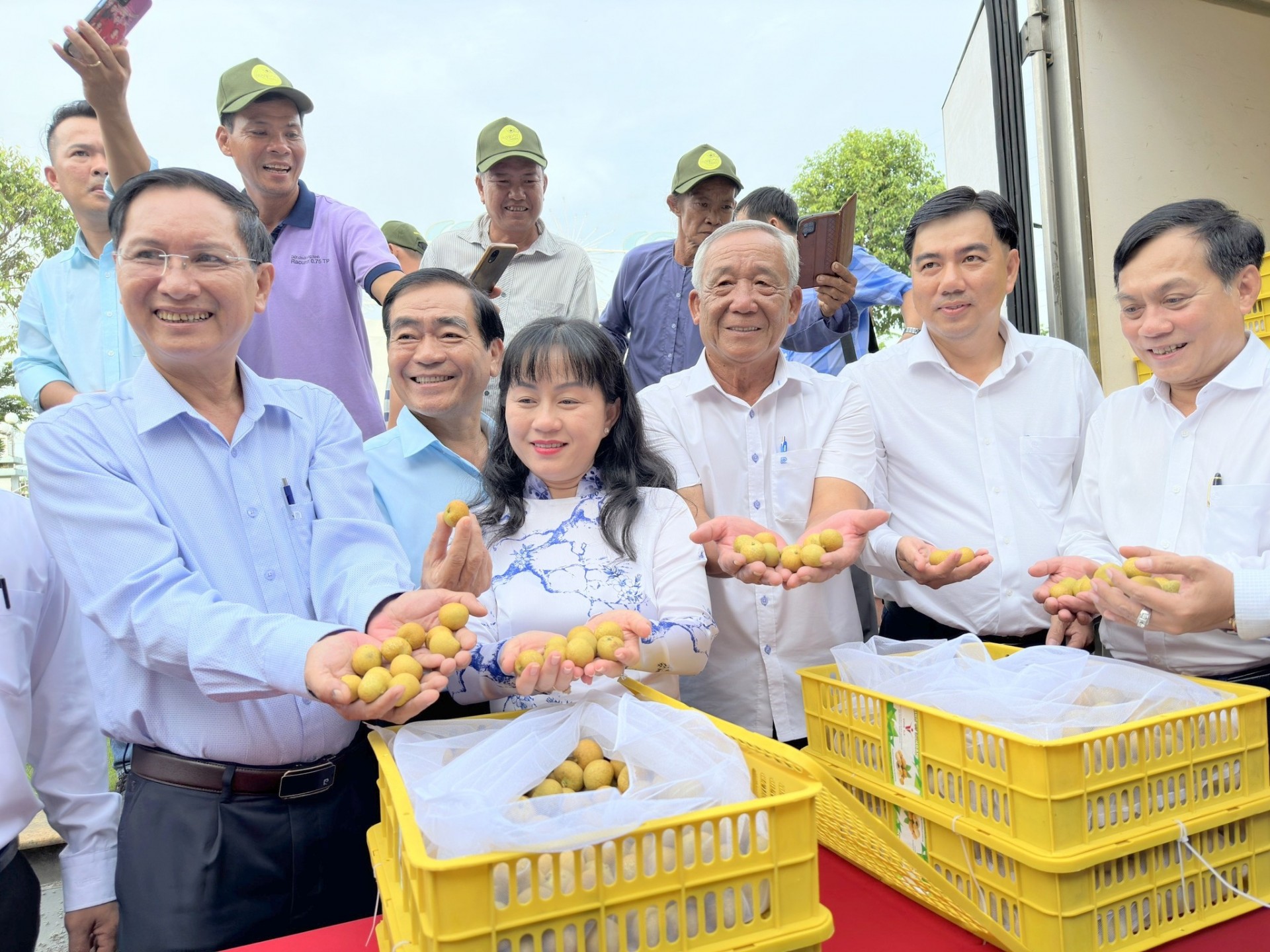 Để quả nhãn Cần Thơ được xuất ngoại Để quả nhãn Cần Thơ được xuất ngoại