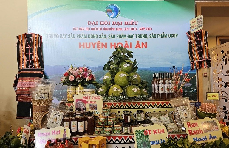 Đại hội đại biểu các dân tộc thiểu số tỉnh Bình Định lần thứ IV Đại hội đại biểu các dân tộc thiểu số tỉnh Bình Định lần thứ IV