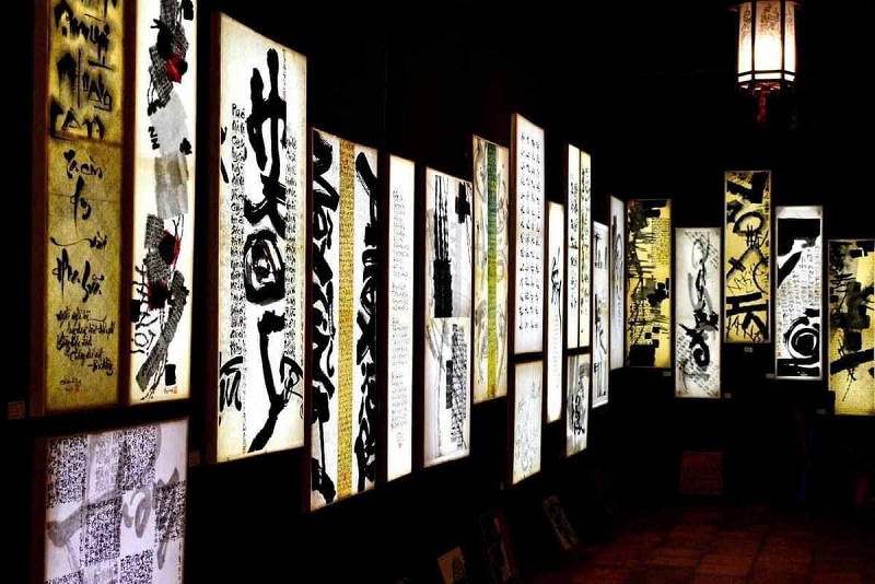 Trồng nấm linh chi dưới tán rừng keo Trồng nấm linh chi dưới tán rừng keo