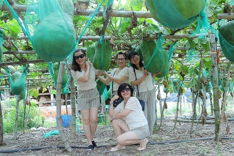 Bình Định: Định hướng phát triển du lịch làng nghề