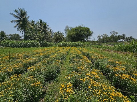binh dinh lap de an phat trien lang nghe trong hoa gia an nam