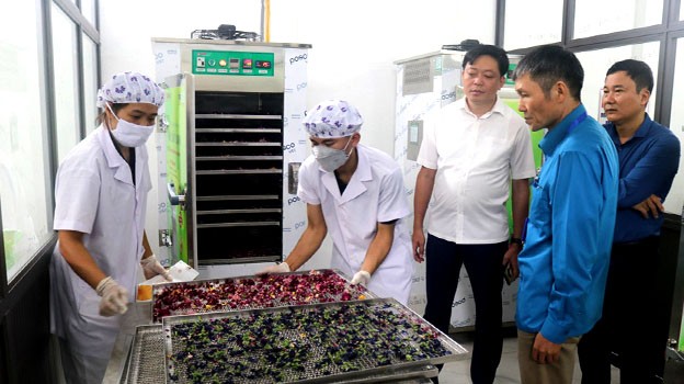 Lãnh đạo Sở Công Thương, Trung tâm Khuyến công và tư vấn phát triển công nghiệp nghiệm thu đề án tại thành phố Hòa Bình.