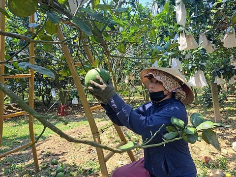 Quảng Nam có 275 thôn đạt chuẩn khu dân cư nông thôn mới kiểu mẫu