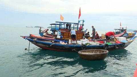xay dung danh muc nghe duoc khai thac tai khu bao ton bien cu lao cham hoi an